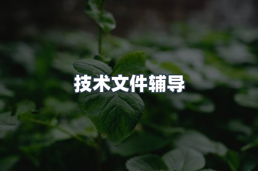 技术文件辅导